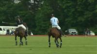 News video: Prince Harry plays polo at end of US tour