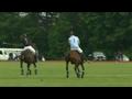 News video: Prince Harry plays polo at end of US tour